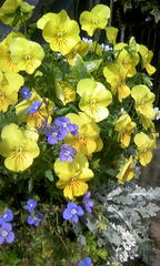 080412_102311.JPG, SIZE:480x800(125.2KB)