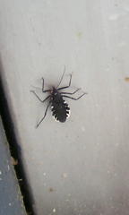 080505_090747.JPG, SIZE:480x800(47.2KB)